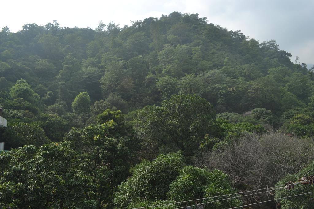 Mount Valley Mama Cottage Rishīkesh Rum bild